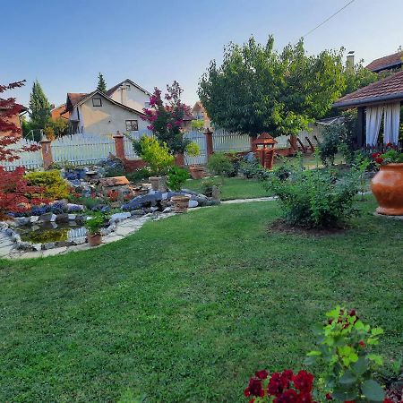 Guest House Rose Smederevska Palanka Zewnętrze zdjęcie