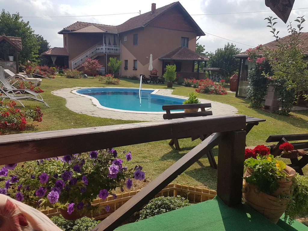 Guest House Rose Smederevska Palanka Zewnętrze zdjęcie