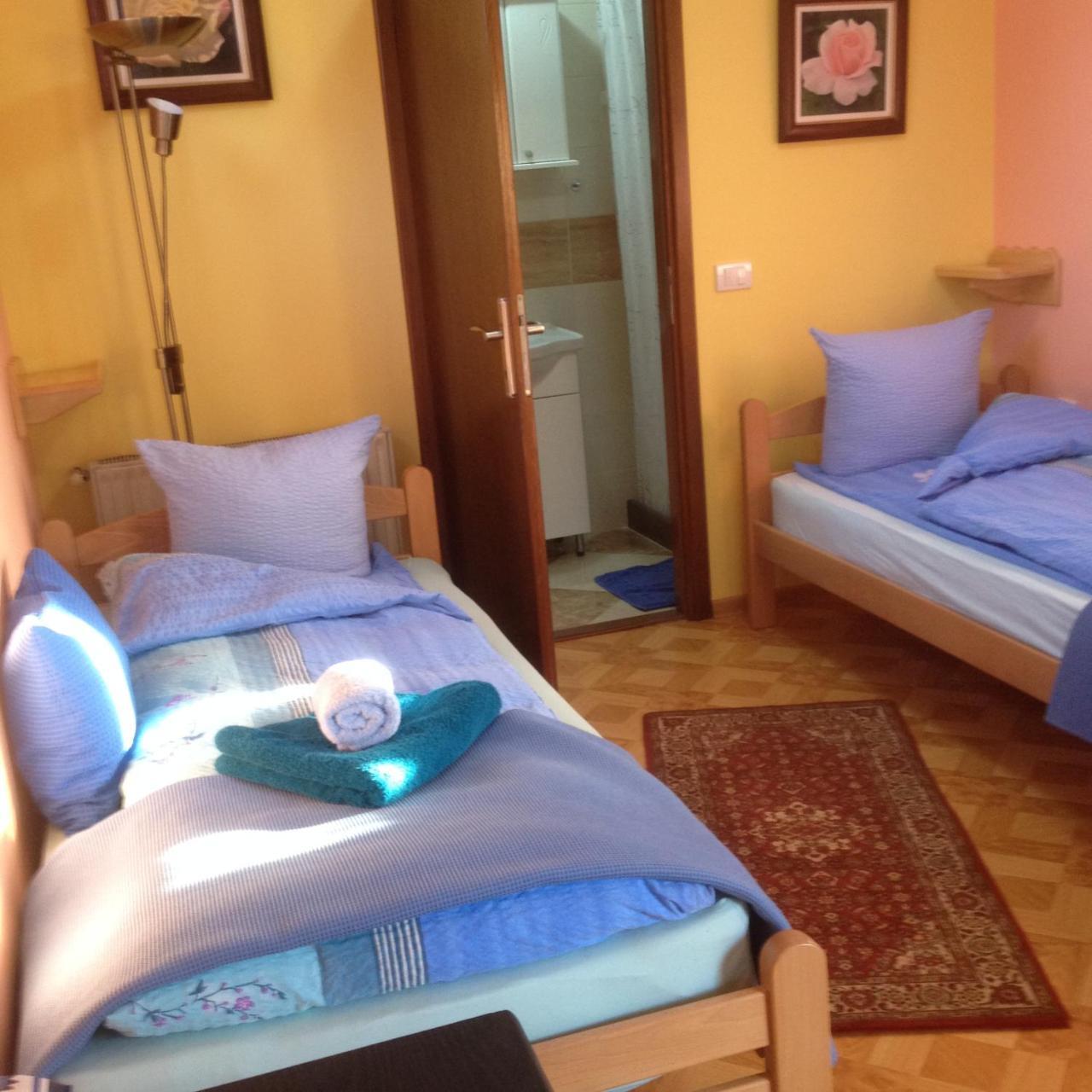 Guest House Rose Smederevska Palanka Zewnętrze zdjęcie