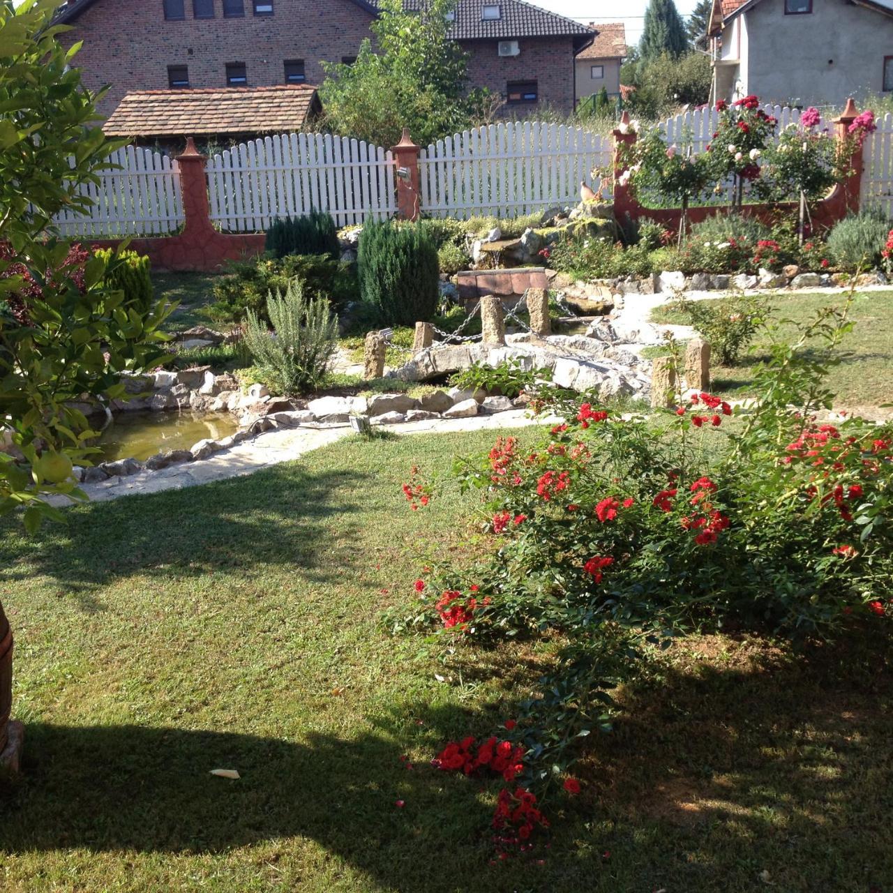 Guest House Rose Smederevska Palanka Zewnętrze zdjęcie