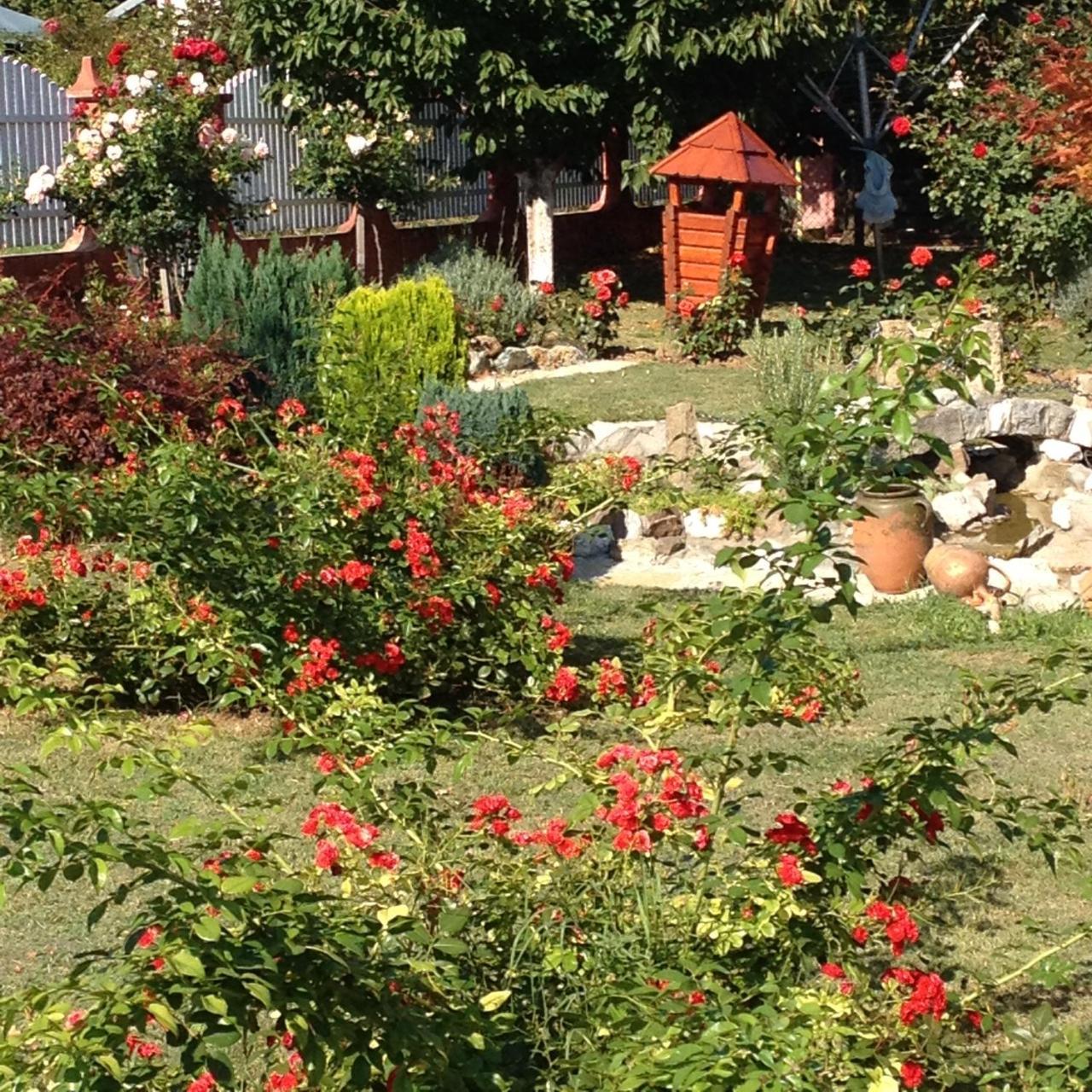 Guest House Rose Smederevska Palanka Zewnętrze zdjęcie